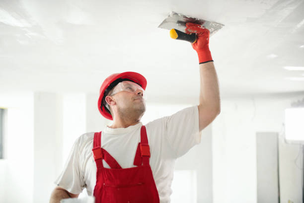 Best Mold Removal for HVAC Installations  in Lockwood, MT
