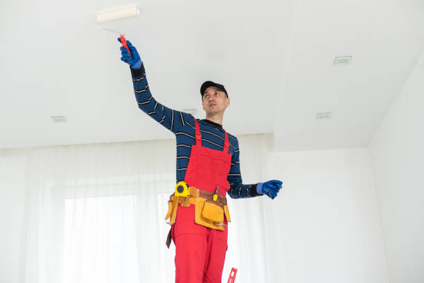 Best Mold Documentation for Insurance Claims  in Lockwood, MT